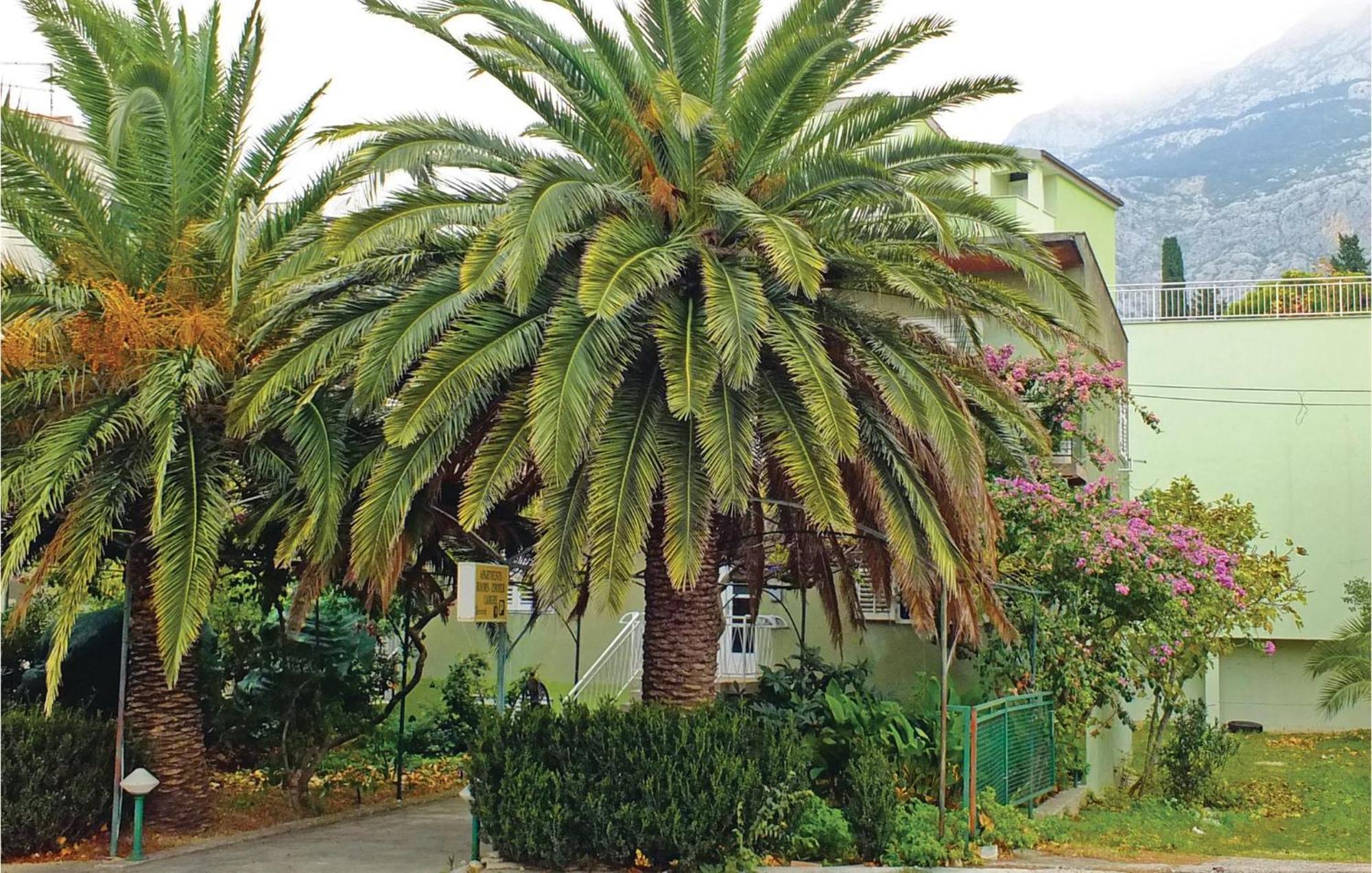Lovely Apartment In Makarska With Wifi المظهر الخارجي الصورة